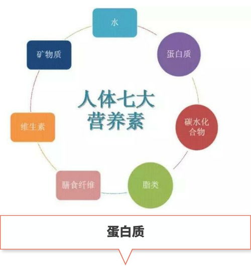 揭秘燕窝：深度解析其独特营养成分与构成