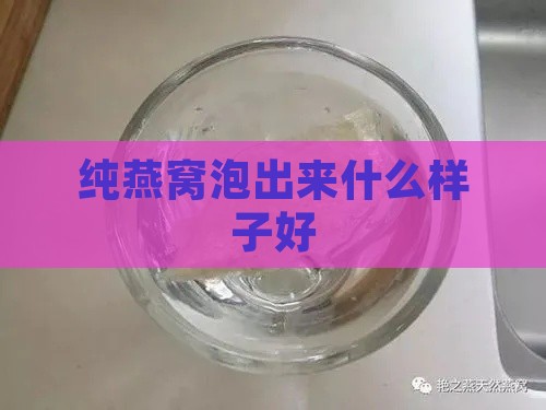 纯燕窝泡出来什么样子好