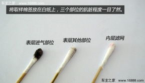 揭秘：滤燕窝专用工具及其使用方法——全方位解析勺子与燕窝过滤技巧