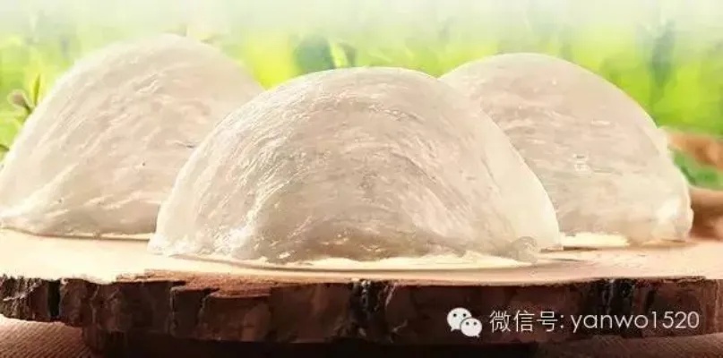 跟燕窝很像的是什么东西及其别称一览