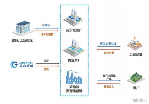 深度解析：俞文清燕窝水的风格定位与市场策略全景分析