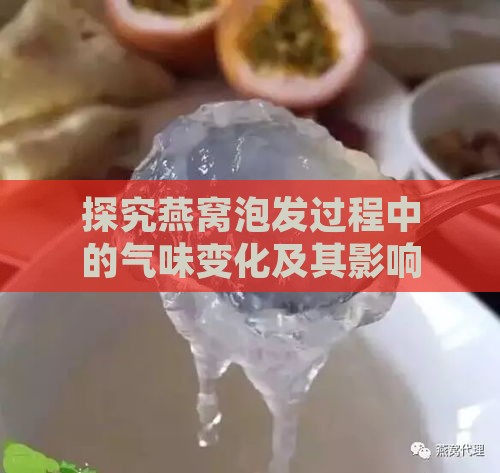 探究燕窝泡发过程中的气味变化及其影响