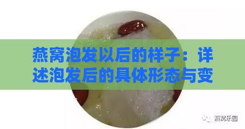 燕窝泡发以后的样子：详述泡发后的具体形态与变化