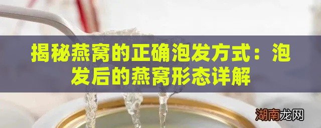 揭秘燕窝的正确泡发方式：泡发后的燕窝形态详解