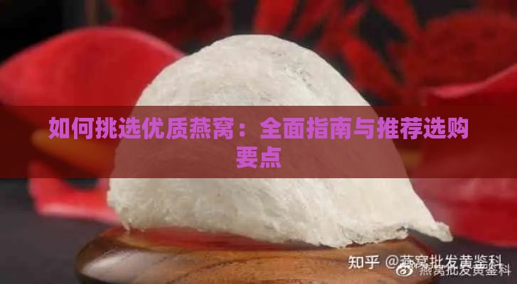 如何挑选优质燕窝：全面指南与推荐选购要点