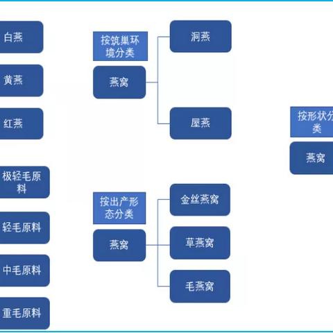 燕窝分类和区别：详析燕窝两大分类法及其特点