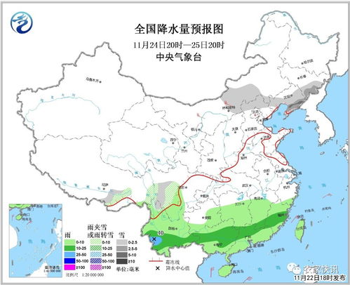 '燕窝意外落地前的预警信号与应对措施'