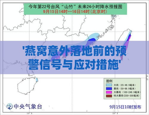 '燕窝意外落地前的预警信号与应对措施'