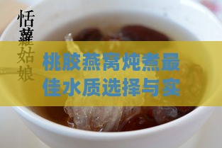 桃胶燕窝炖煮更佳水质选择与实践指南