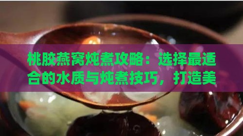 桃胶燕窝炖煮攻略：选择最适合的水质与炖煮技巧，打造美味滋养甜品