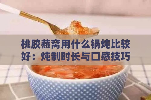 桃胶燕窝用什么锅炖比较好：炖制时长与口感技巧探讨