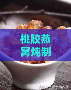 桃胶燕窝炖制教程：详解做法、窍门与常见问题解答