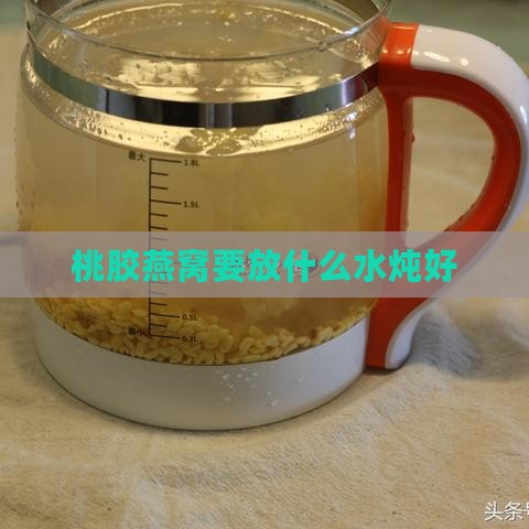 桃胶燕窝要放什么水炖好