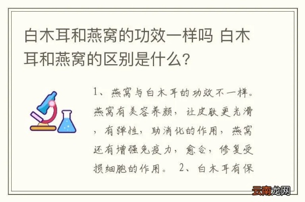 燕窝与白木耳的区别、功效及适用人群全面解析