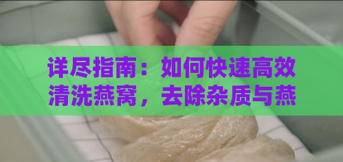 详尽指南：如何快速高效清洗燕窝，去除杂质与燕毛