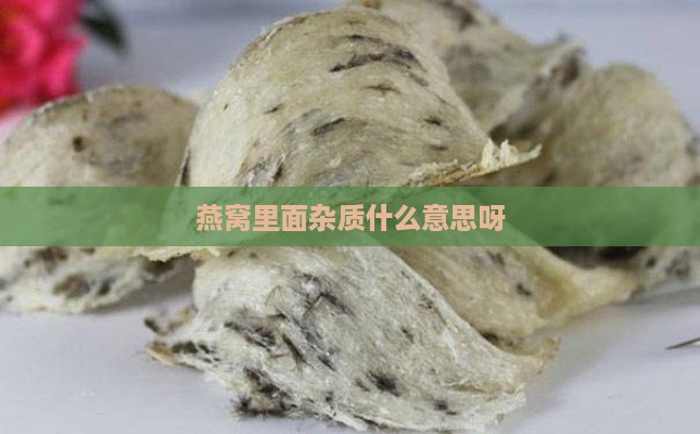 燕窝里面杂质什么意思呀