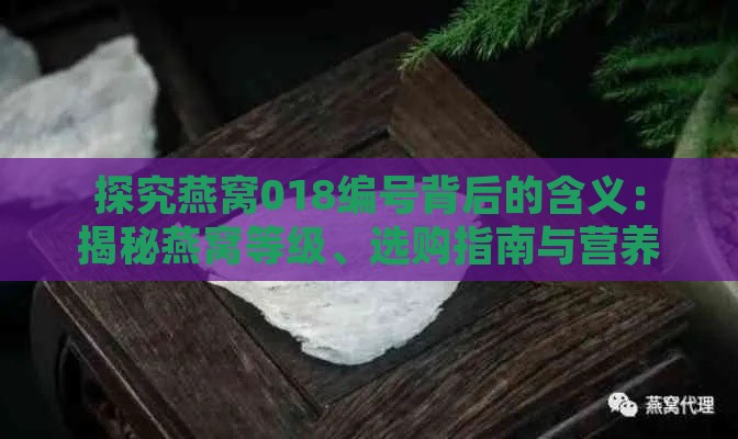 探究燕窝018编号背后的含义：揭秘燕窝等级、选购指南与营养价值