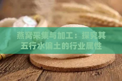 燕窝采集与加工：探究其五行水偏土的行业属性