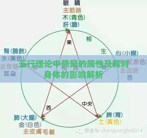 五行理论中燕窝的属性及其对身体的影响解析