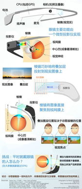 揭秘燕窝：深入了解其成分、来源及制作全过程