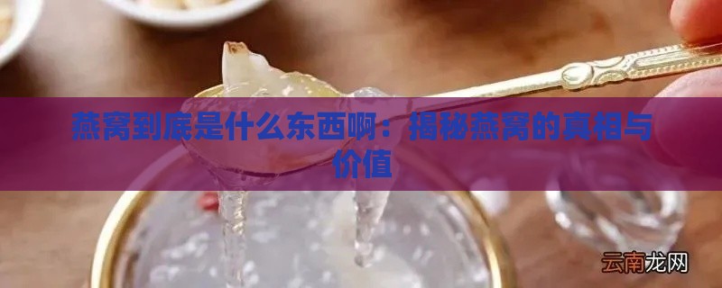 燕窝到底是什么东西啊：揭秘燕窝的真相与价值