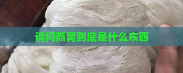 请问燕窝到底是什么东西