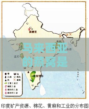 马来西亚的燕窝是怎么形成的：特点、价格、产地分布与优势解析