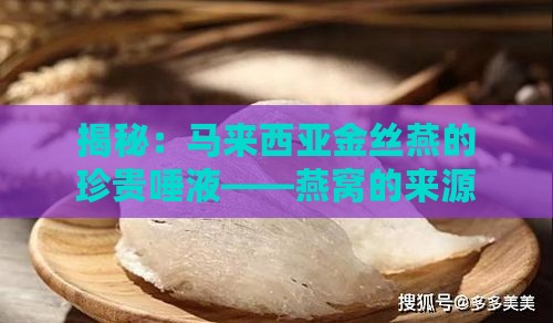 揭秘：马来西亚金丝燕的珍贵唾液——燕窝的来源解析