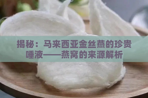 揭秘：马来西亚金丝燕的珍贵唾液——燕窝的来源解析