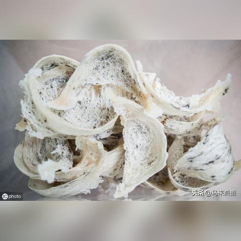 燕窝唾液酸的全面益处：从孕妇到婴幼儿的健康促进与智力发展解析