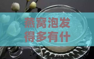 燕窝泡发得多有什么好处及可能的利弊分析