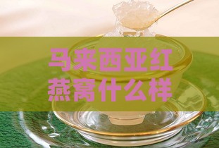 马来西亚红燕窝什么样子