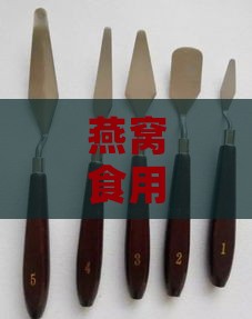 燕窝食用工具全解析：挑选更佳勺子及其他必备用品指南