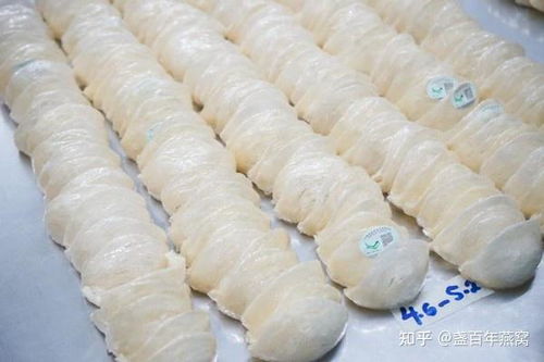 鲜炖燕窝有气泡好吗：原因、食用建议及处理方法