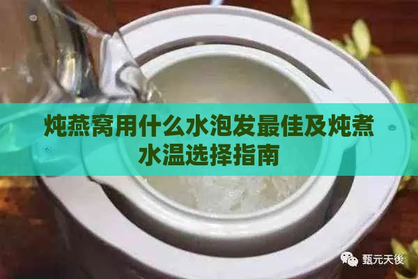 炖燕窝用什么水泡发更佳及炖煮水温选择指南