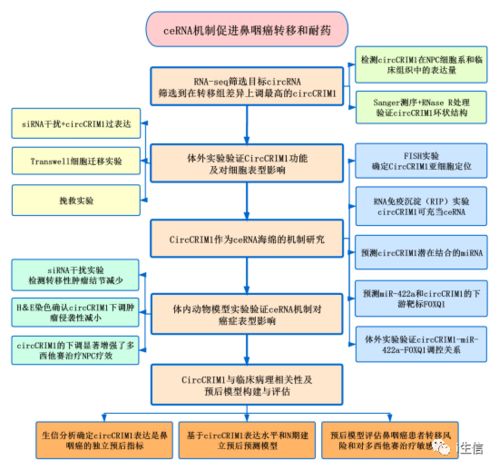 燕窝对高血压患者的益处与降血压机制详解：全面解析其健康作用