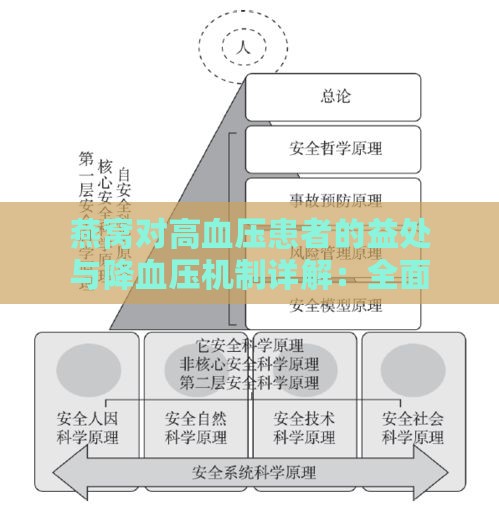 燕窝对高血压患者的益处与降血压机制详解：全面解析其健康作用