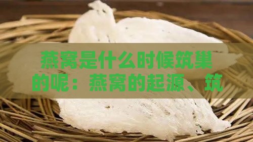 燕窝是什么时候筑巢的呢：燕窝的起源、筑巢时间及盛行历程