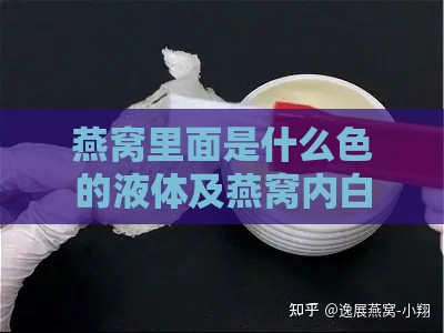 燕窝里面是什么色的液体及燕窝内白色物质探究