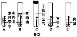 探究燕窝黄色物质的原因及可能影响品质的因素