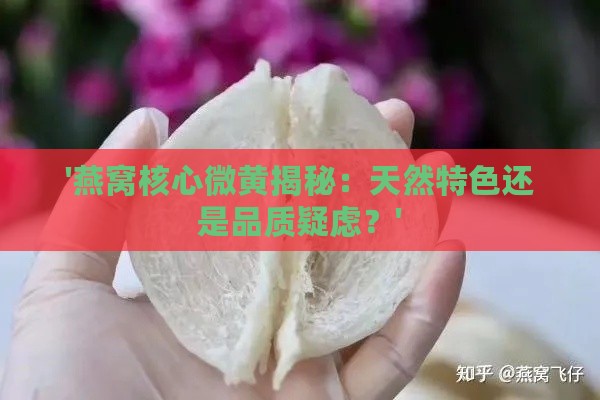 '燕窝核心微黄揭秘：天然特色还是品质疑虑？'