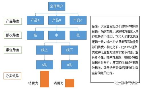 燕窝在产品分类里叫什么：产品类别与界定解析