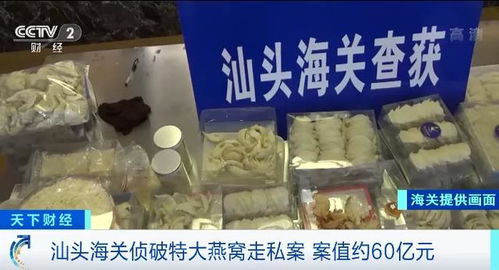 上官燕窝森哥的照片高清，燕窝品质及价格，揭秘，福建公司创立详情