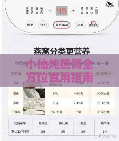 小仙炖燕窝全方位食用指南：炖制技巧、搭配建议与注意事项