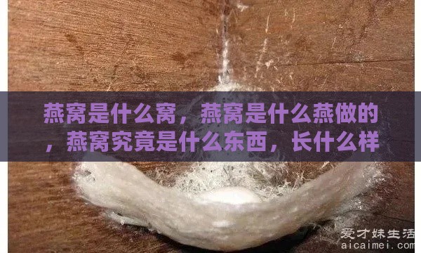 燕窝是什么窝，燕窝是什么燕做的，燕窝究竟是什么东西，长什么样？