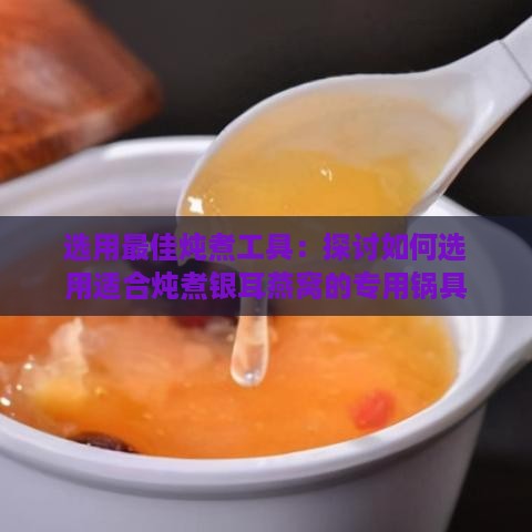 选用更佳炖煮工具：探讨如何选用适合炖煮银耳燕窝的专用锅具