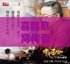 喜鹊燕窝传奇：探寻燕语中的吉祥使者美名