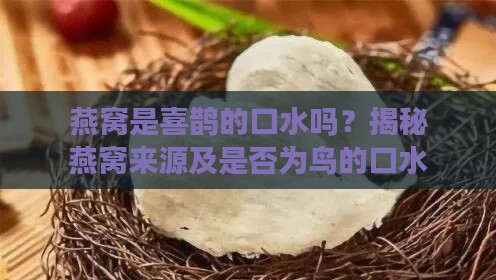 燕窝是喜鹊的口水吗？揭秘燕窝来源及是否为鸟的口水，燕窝是哪种鸟的口水？