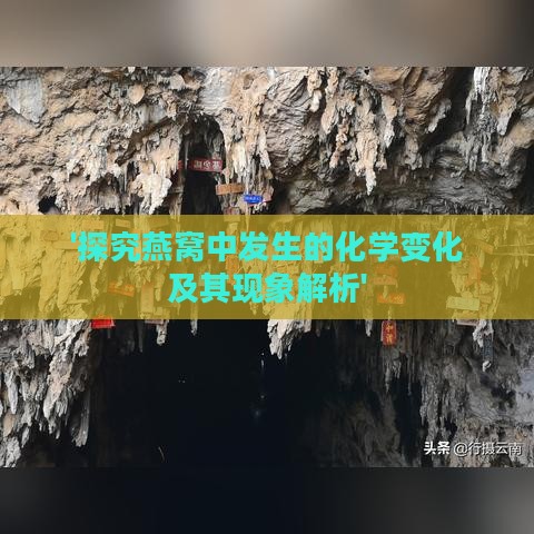 '探究燕窝中发生的化学变化及其现象解析'