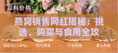 燕窝销售网红揭秘：挑选、购买与食用全攻略